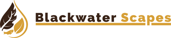 Blackwater Scapes
