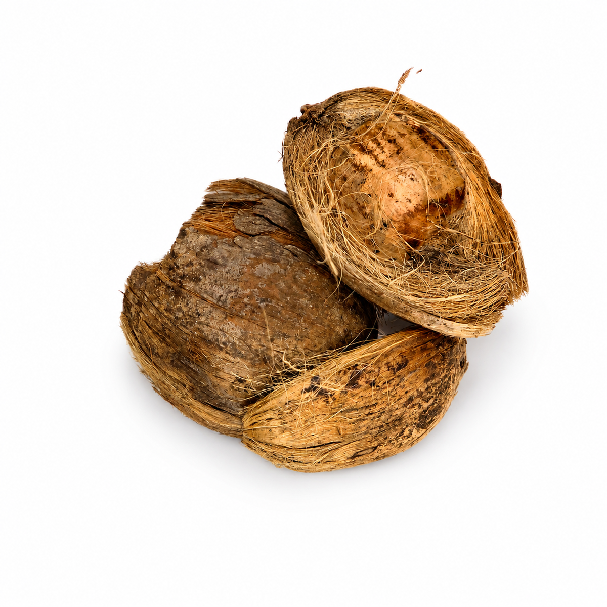 3 betel husks laid out on a white surface