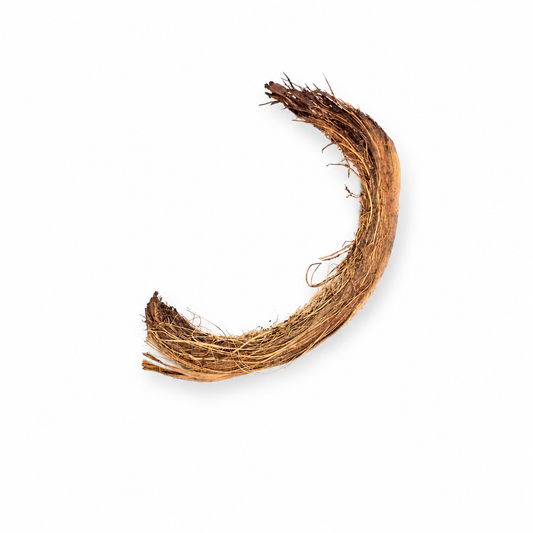 Close-up of coconut husk showing their fibrous texture 