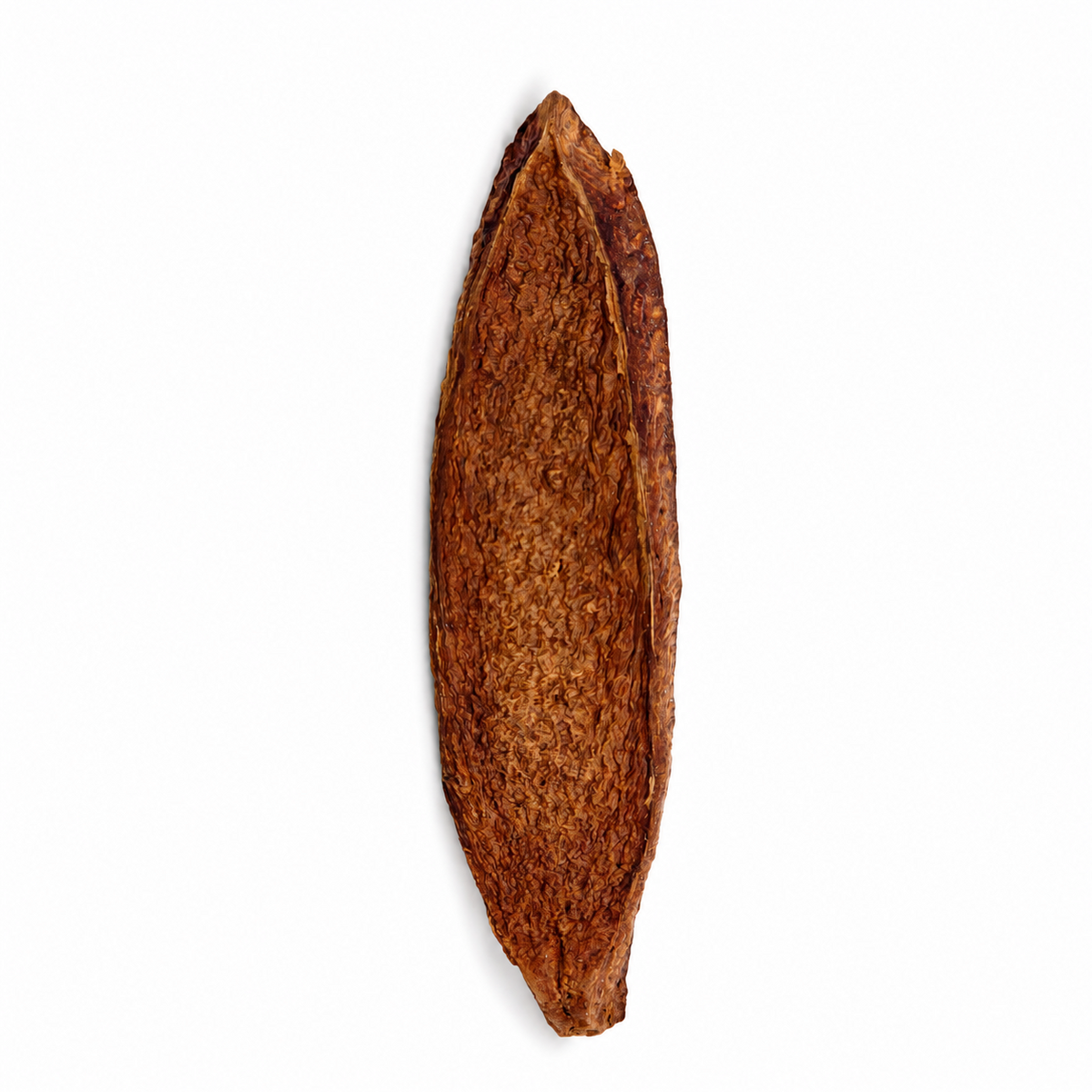 Curved woody mahogany seed pod sections in dark reddish brown