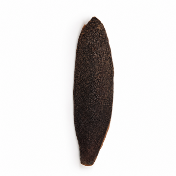 Curved woody mahogany seed pod sections in dark reddish brown