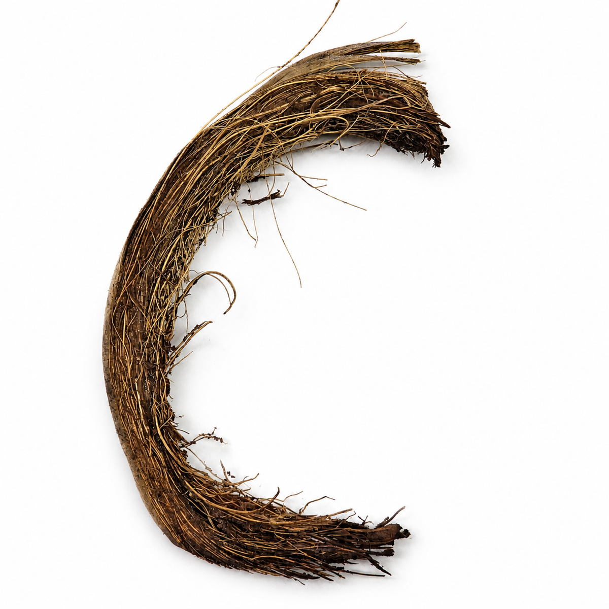 Piece of fibrous brown coconut husk for aquarium