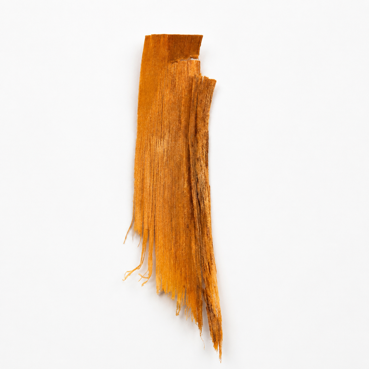 Close-up of a Sappanwood Shaving showing their texture over a white background. 
