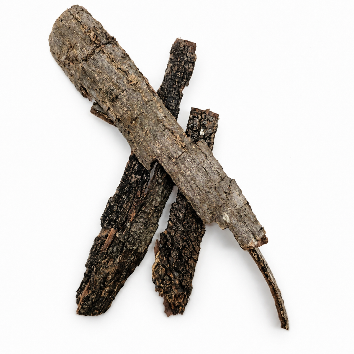 3 catappa bark laid out on a white surface