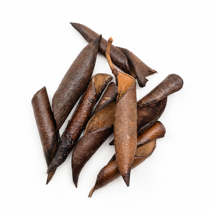 8 sappanwood seed pods laid on a white surface