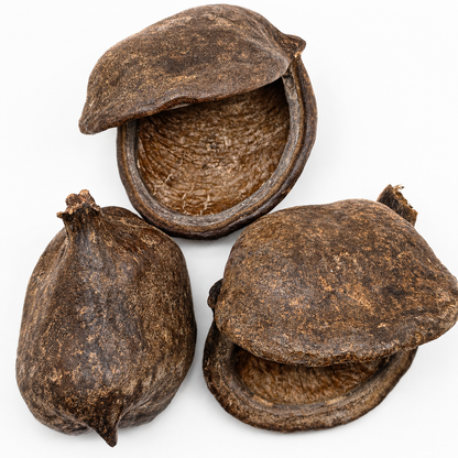 3 sterculia pods laid on a white surface