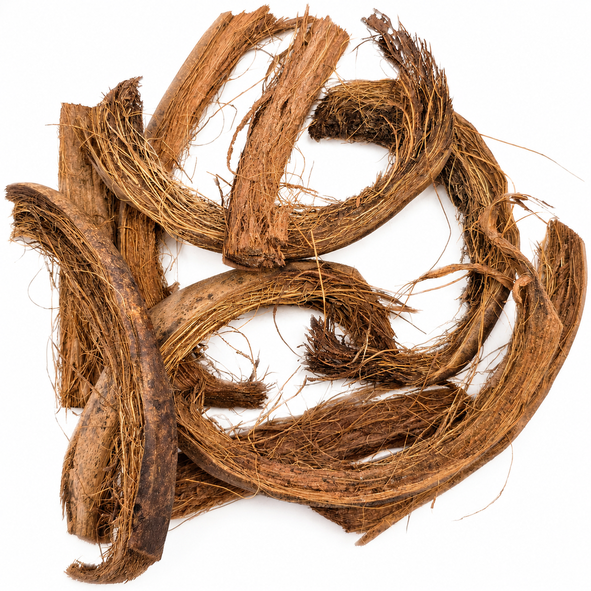 9 chunks of fibrous brown coconut husk laid on a white surface