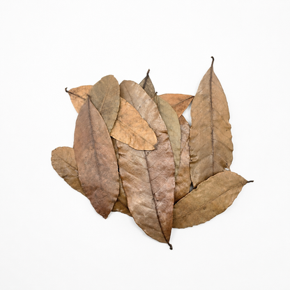 11 Logan leaves laid out on a white surface