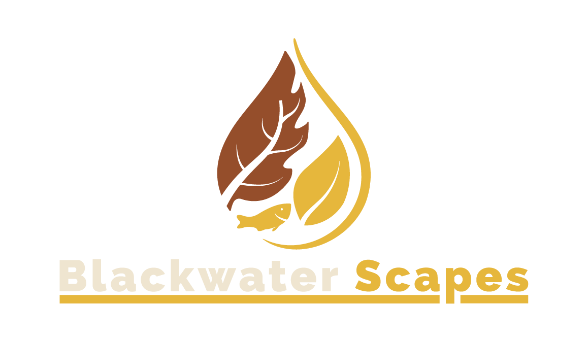 Blackwater Scapes